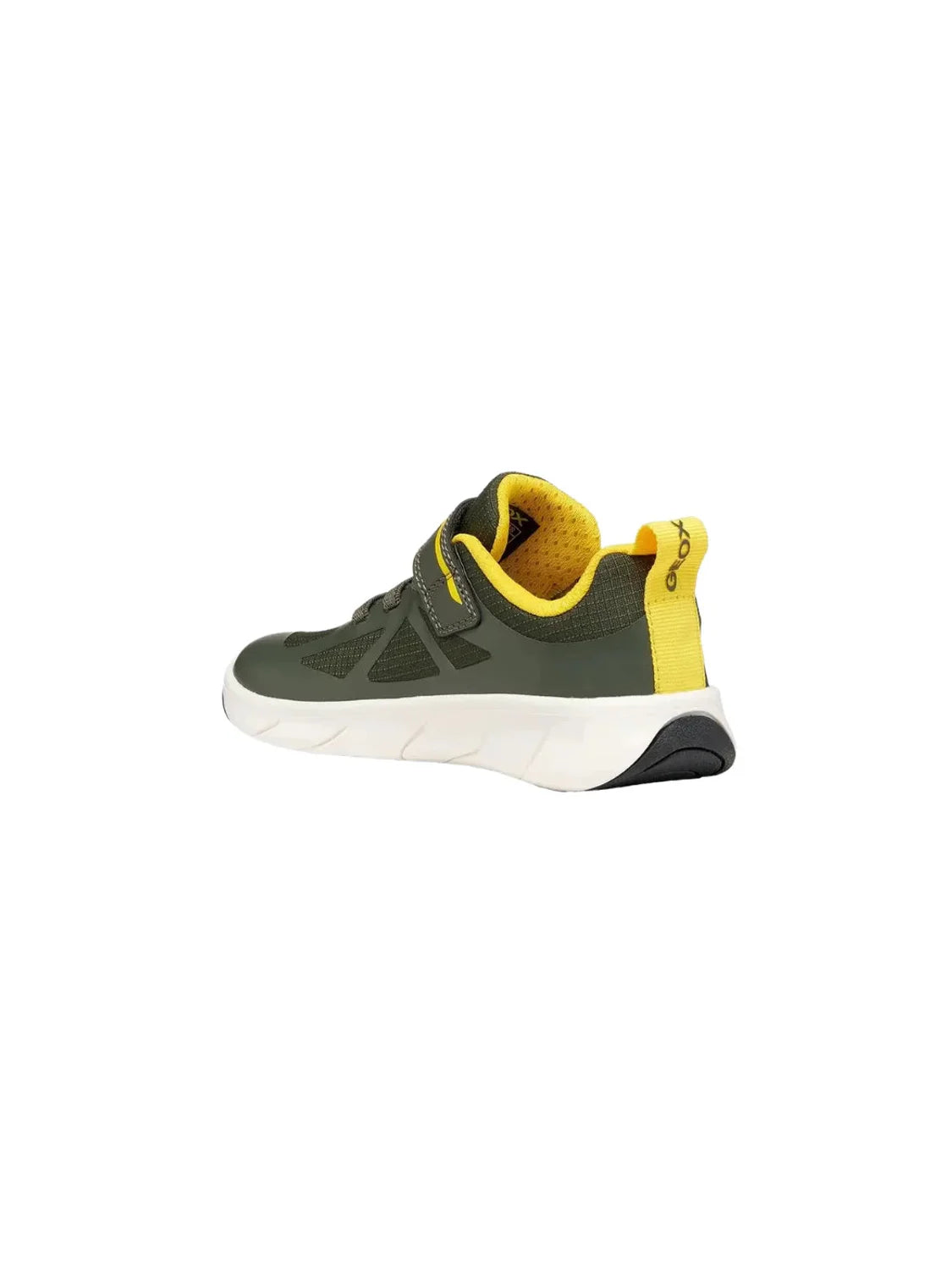 Zapatilla Niños GEOX Foot Run Verde | Bicos de Fío